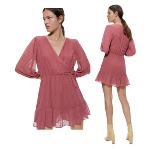 Zara Swiss Dot Mini Dress Jumpsuit Sz XS Mauve Long Balloon Sleeves Summer $120